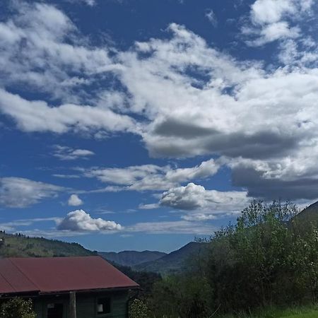 Agriturismo Il Mulino Stibiveri Dış mekan fotoğraf