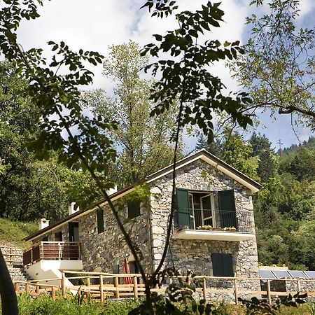 Agriturismo Il Mulino Stibiveri Dış mekan fotoğraf