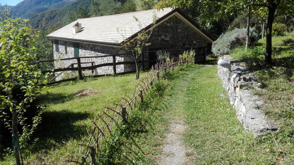 Agriturismo Il Mulino Stibiveri Dış mekan fotoğraf